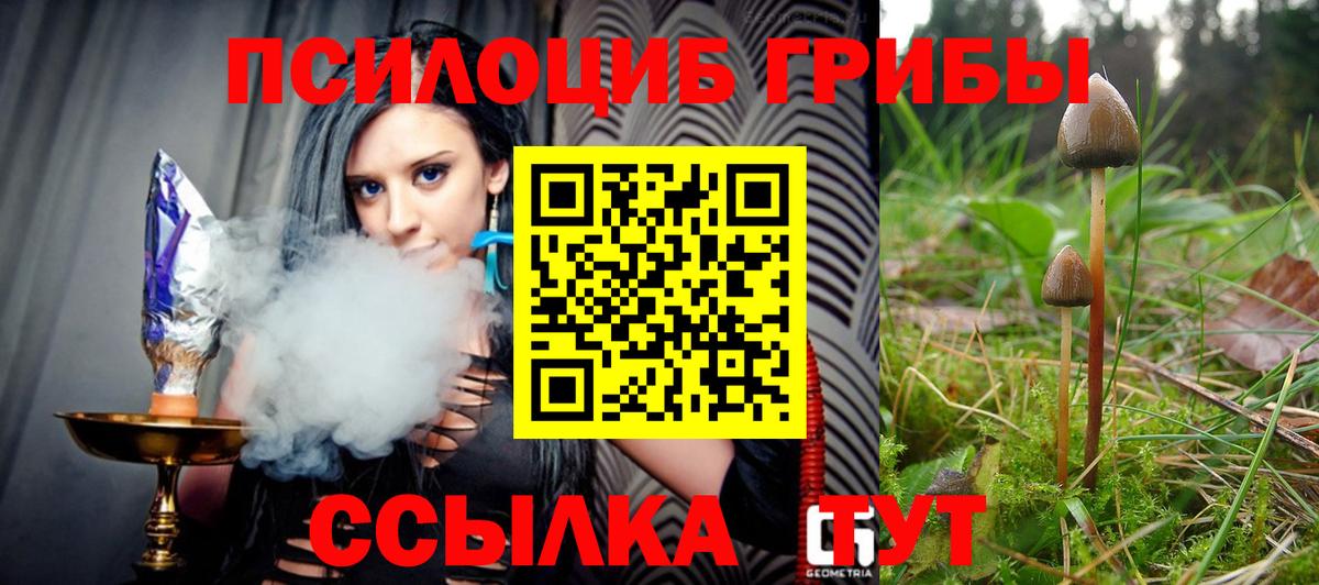 Псилоцибиновые грибы Psilocybe Нягань