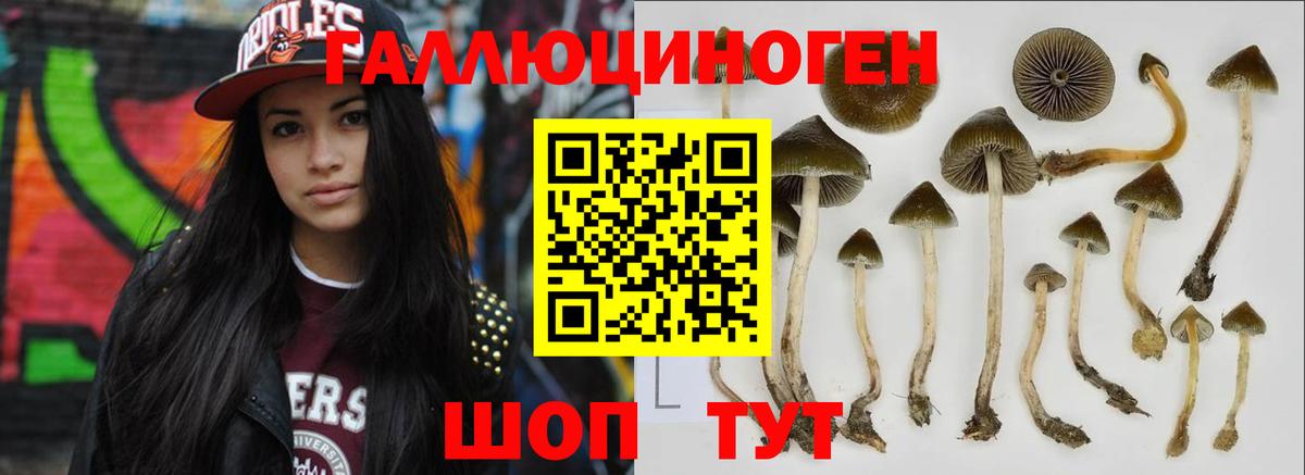 Псилоцибиновые грибы Psilocybe  Вход с VPN  Нягань 